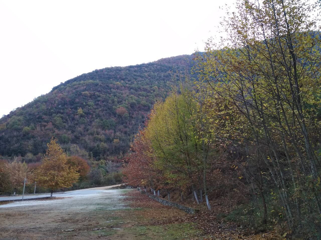 5D0C0DB2-EB26-4E3E-8492-C95B8605CB4A