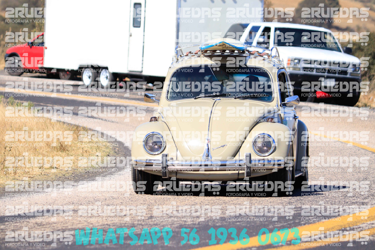 MG 1425 — Postimages