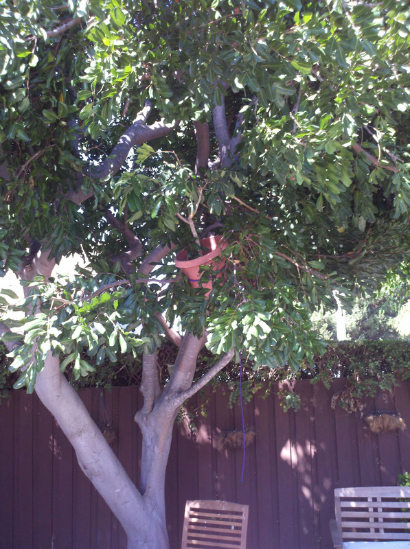 2013-09-07_11-02-56_398