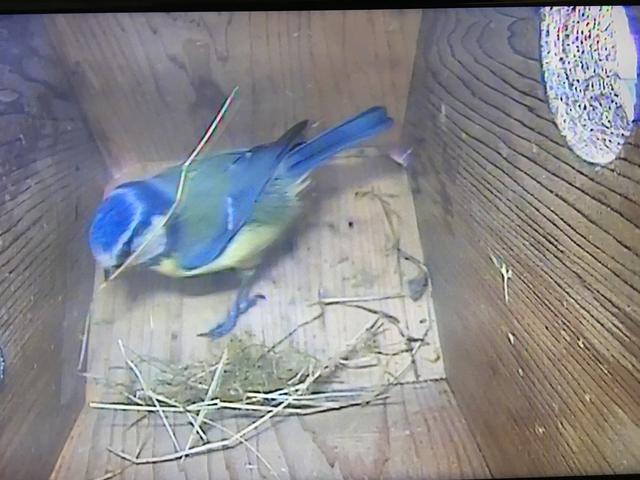 E6635112-D5AA-43CF-AE41-54FEAF36EA04