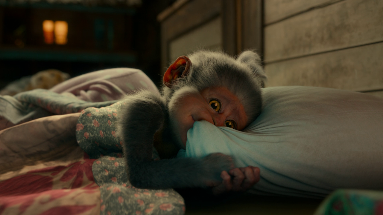 vlcsnap-2024-11-09-13h16m05s174