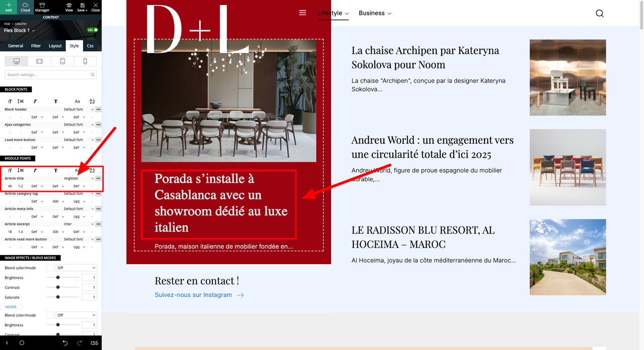 Modifier-l’article-«-Homepage-–-D-L-PRO-»-‹-Decoration-Lifestyle-—-WordPress-01-22-2025_12_17_PM