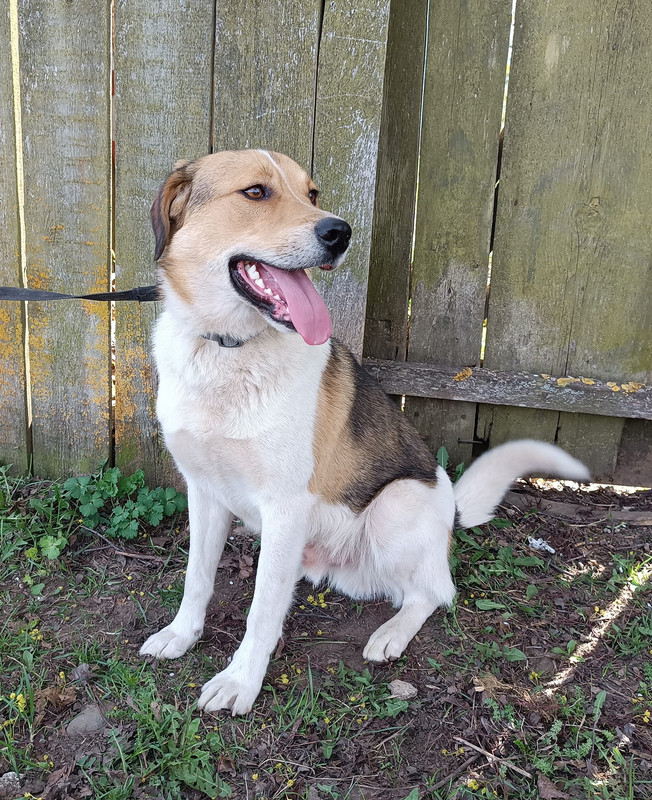 Dyusha 5 sits turned at right