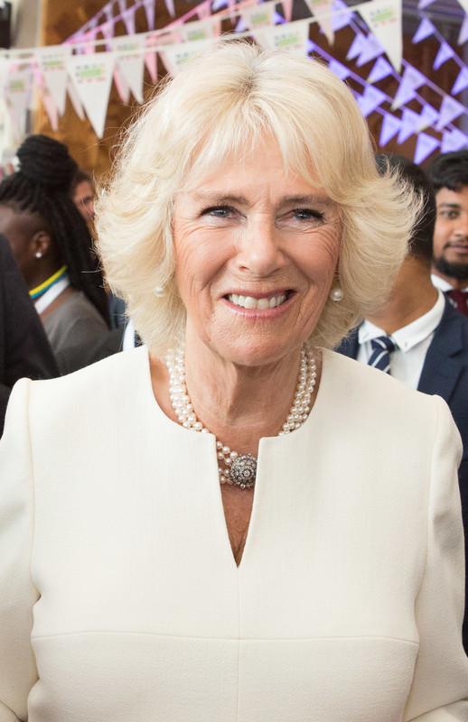 CHOGM_Commonwealth_Big_Lunch_on_April_17,_2018_-_007_(cropped)