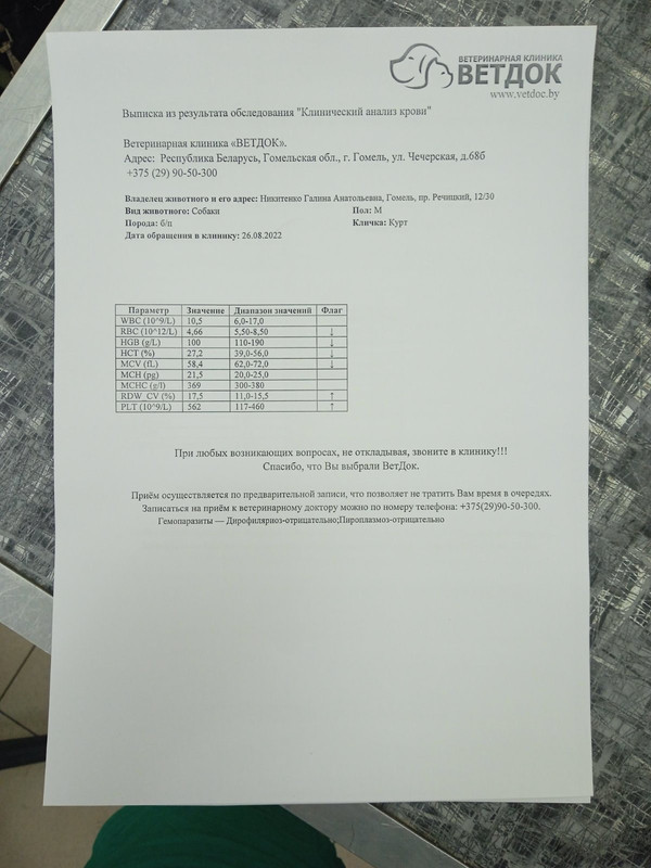 A69F6052-37F3-46EF-9588-7E1B0EBFA499