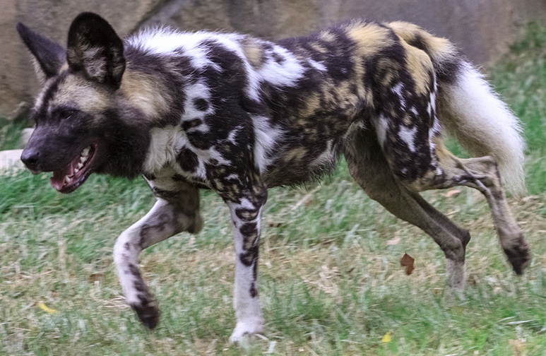 D6E859E3-4A02-4999-AD91-6636AFB56B53