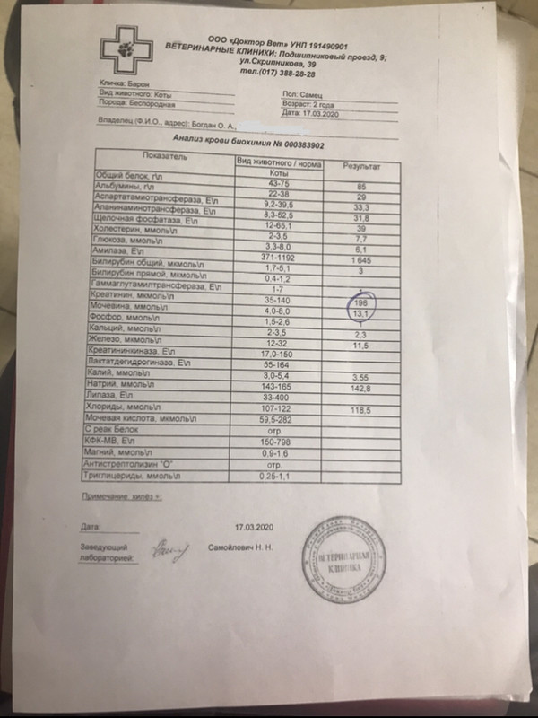 E6D27CF2-2CB6-4C84-92F1-593A2524C6AF