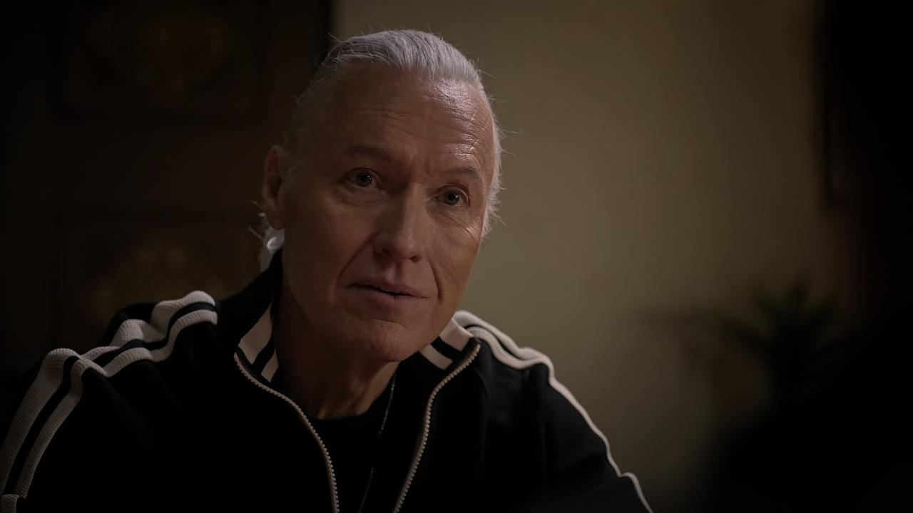 Cobra.Kai.S06E11.Into.The.Fire.1080p.10bit.NF.WEB-DL.DDP5.1.HEVC-Vyndros.mkv_snapshot_29.38_[2025.03