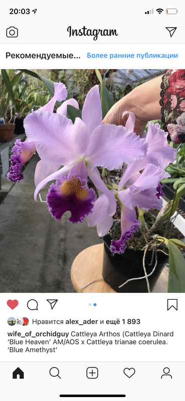 065EDCEA-D83E-41AF-AEAF-0BD3B1E61D3D