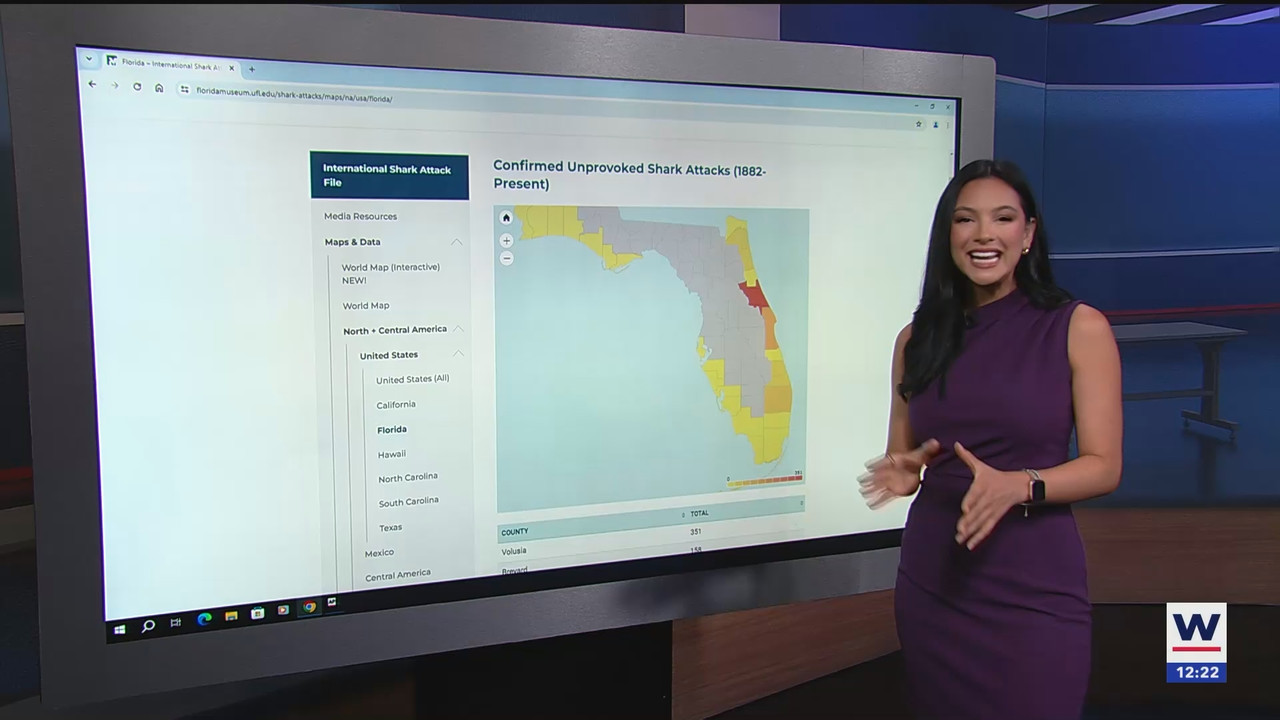 06.10 - 17.00.00 - The WINK Noon News  ᴺᵉʷ. Midday news update..ts_snapshot_28.25.154