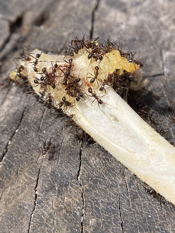 2842D5F1-B922-4EAC-A4A8-C0D410378CDE