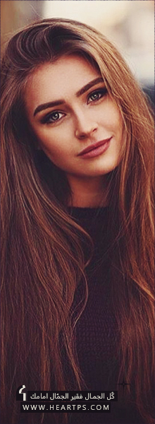 ���� ���� ������ �� ���� ������