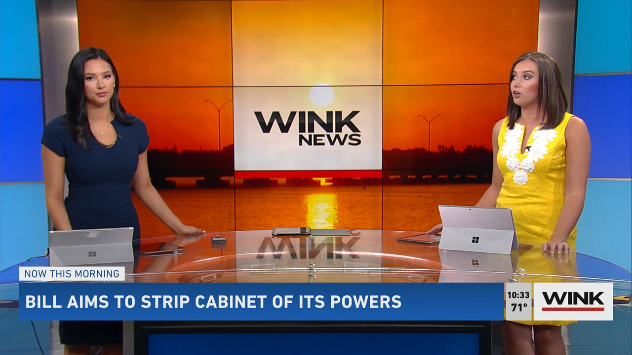 03.14 - 14.00.00 - WINK News at 9 00 a.m..ts_snapshot_00.36.24.524