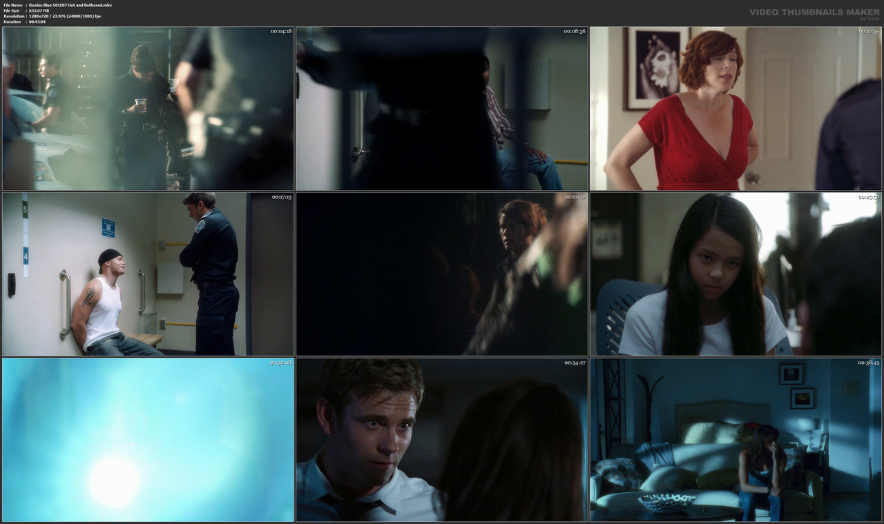 Rookie Blue S01E07 Hot and Bothered.mkv