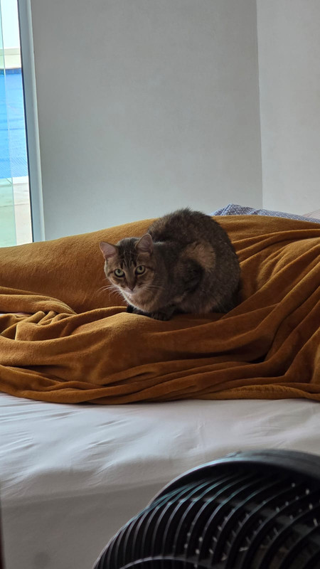 Whats-App-Image-2026-01-24-at-07-20-58.j