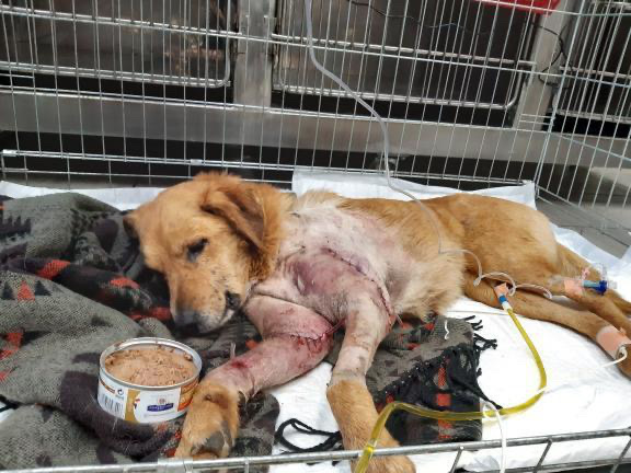 717FC6E9-9E69-49A7-BE49-48F76B0EA682