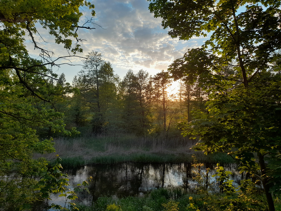 06.03 - 20210602_200726 (Aldona)