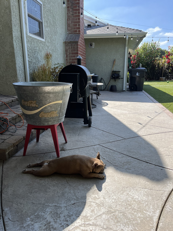 4EA6D6FA-0F33-48BE-BACA-489EA6E09746