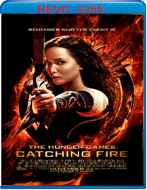 Hunger Games: La ragazza di fuoco (2013) mkv FullHD 1080p HEVC AC3 ITA ENG Sub
