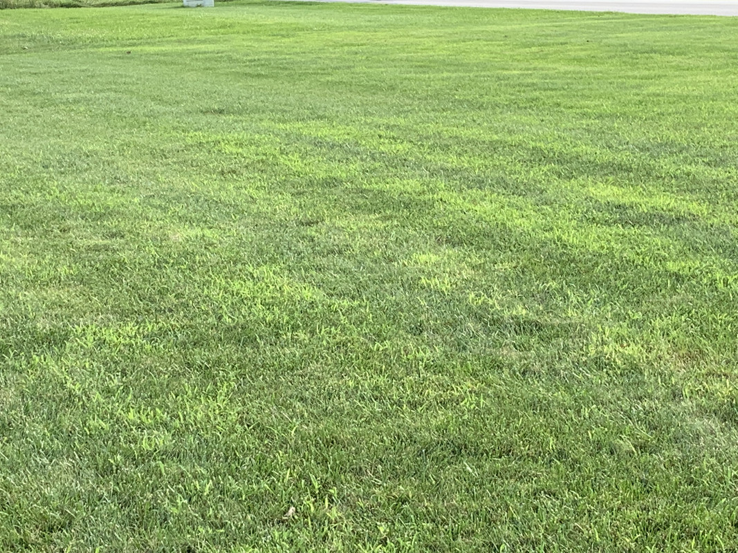 5 C3 E6 F40 C604 4 DC7 B69 F 70 C7511 B31 DB — Postimages