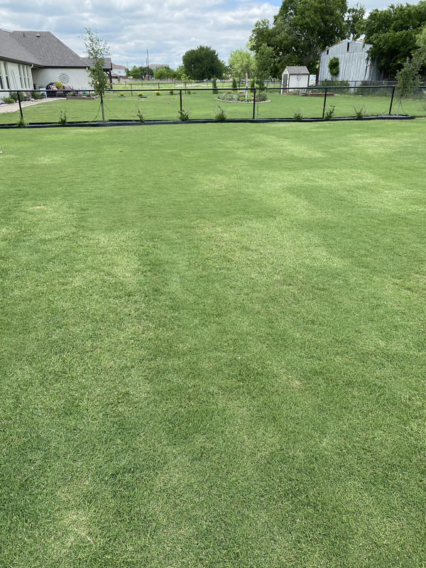 5A3D6EDF-0058-4BB6-8FBF-159C660470F6