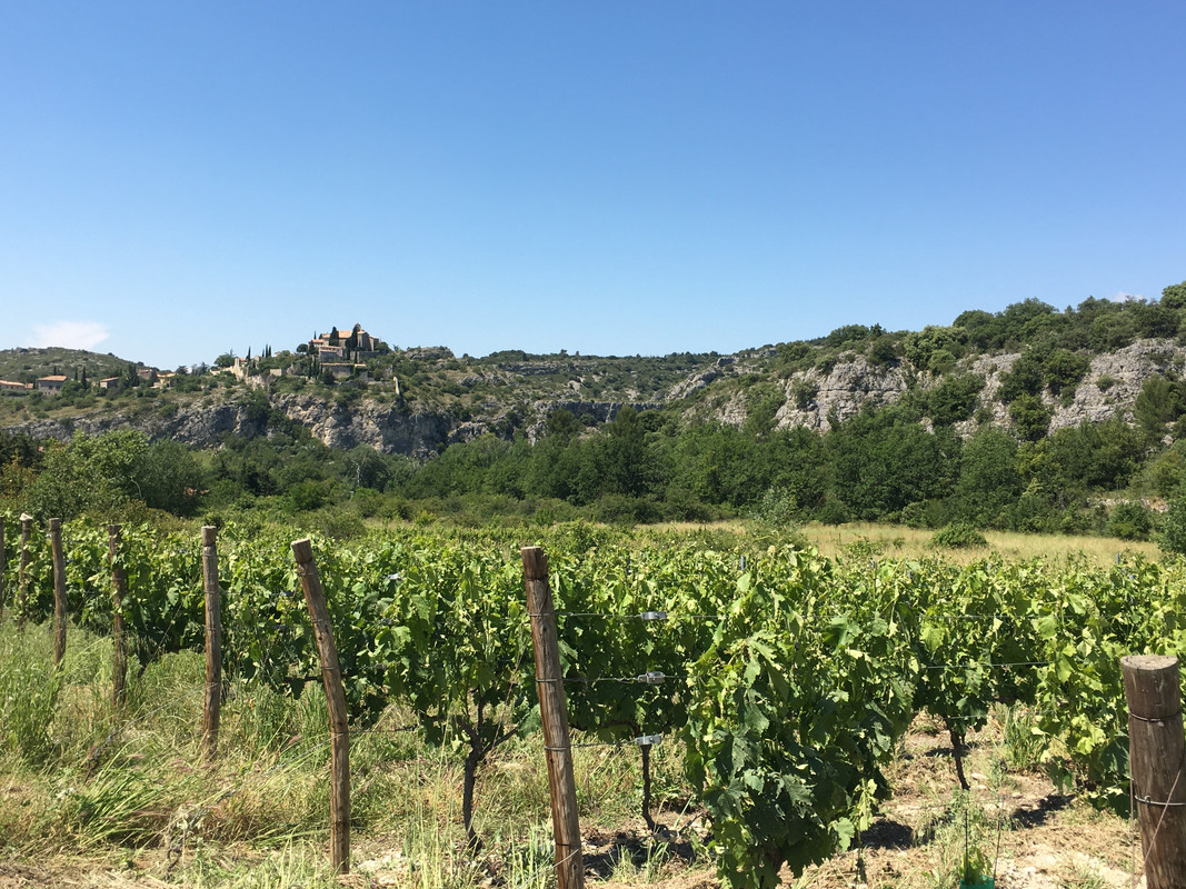 9091465A-F7D2-4A75-A1CB-1DB7758D1DDC