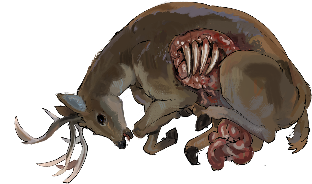 illustration of gutted deer