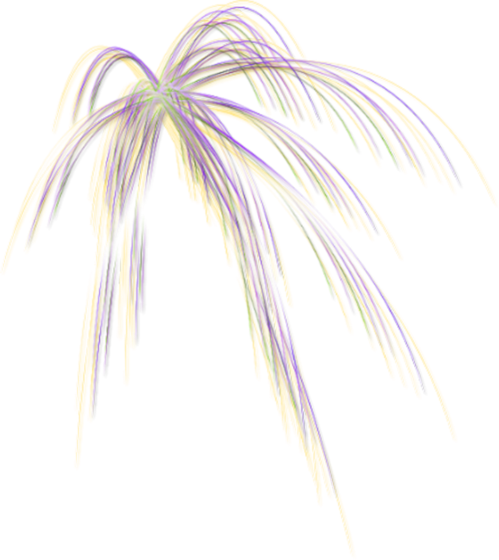 1 (113)