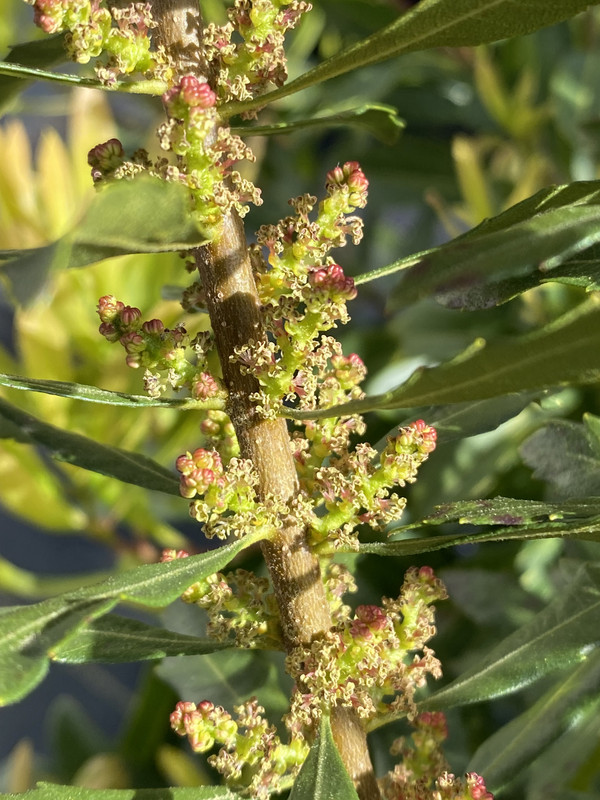 6E1BF40A-6A80-460A-BDE6-C5EB962732CA