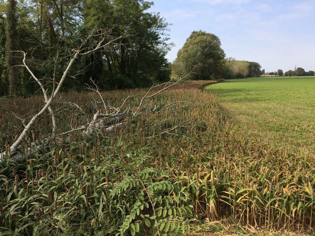 43441F88-94C6-4C10-92ED-59217056E31A