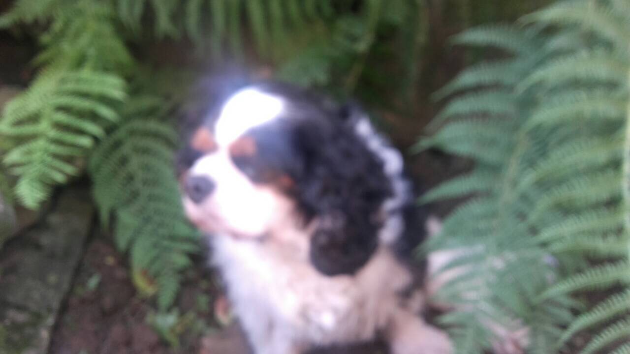 627FE72A-BB95-454A-9968-ED9949335149