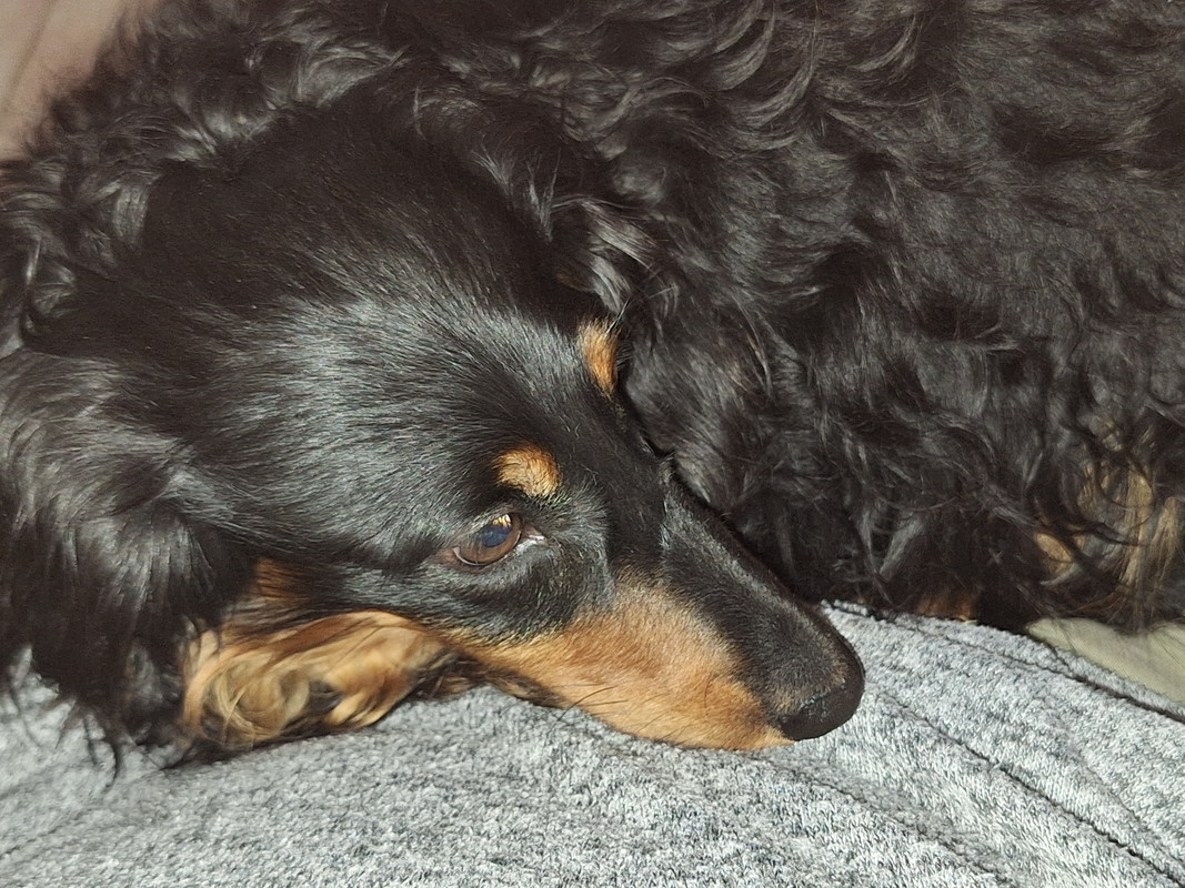 [Image: 20240614-132815.jpg]