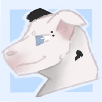 IMG-8906.png