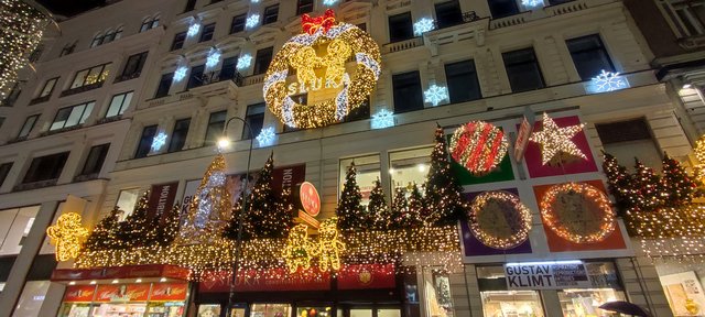Viena - Bratislava - Praga, Navidad 2024 - Blogs de Europa Central - Mercados Navideños de Viena y Catedral (41)