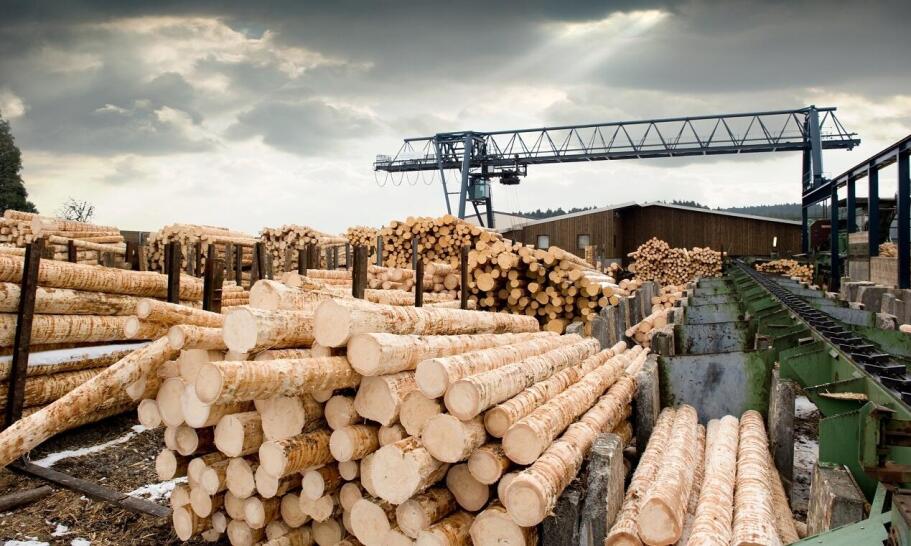 f-266000-co-warto-wiedziec-na-temat-tart