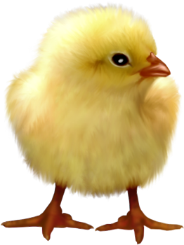 0_1c00e7_75e200ff_orig