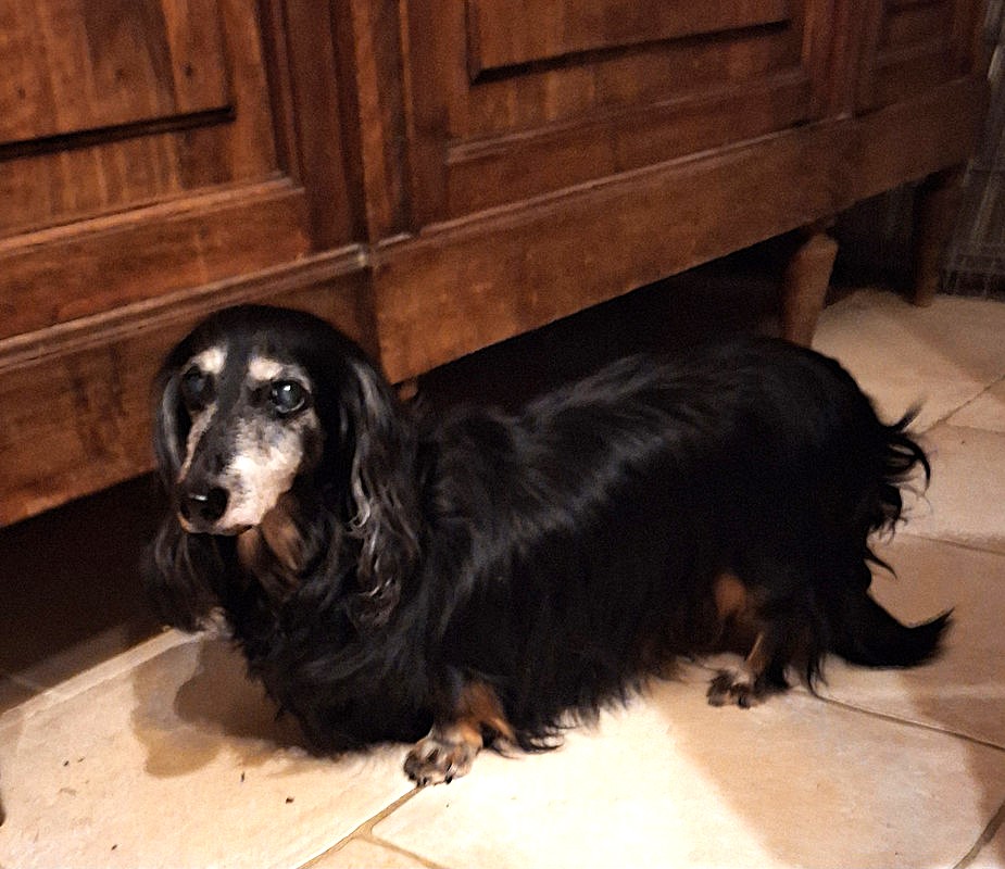 [Image: 20240810-220333.jpg]