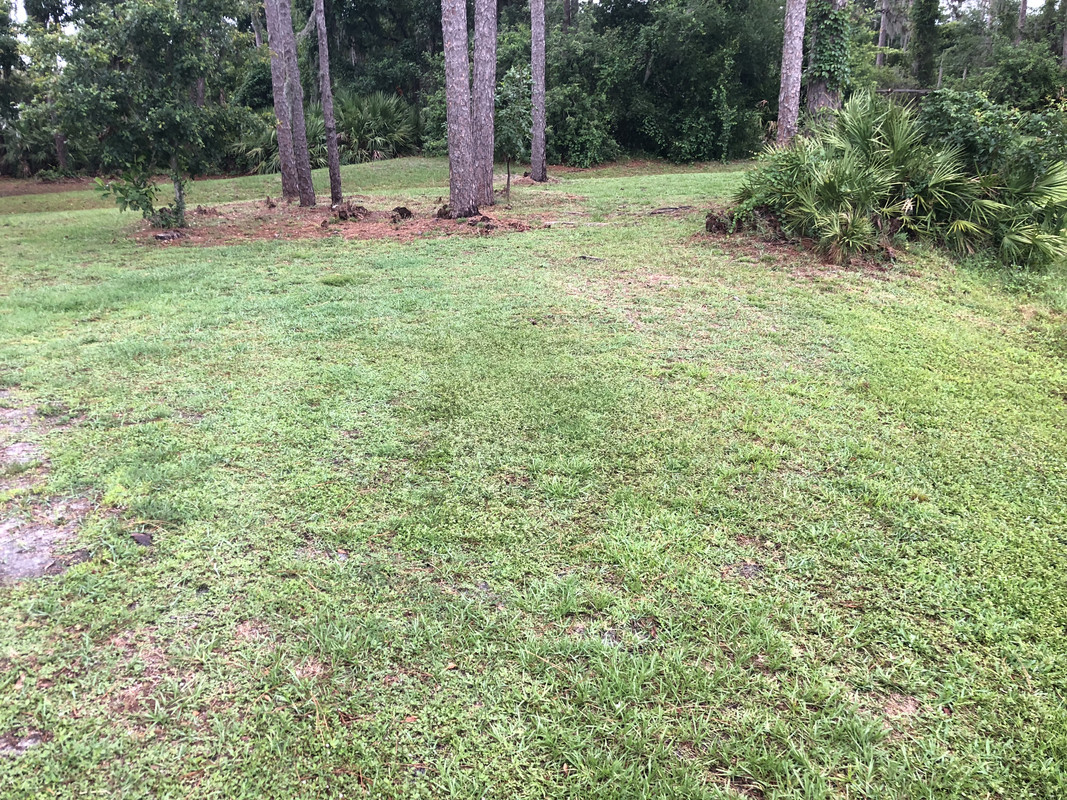 8C88EFFA-A759-4C94-8887-01D5784802F8