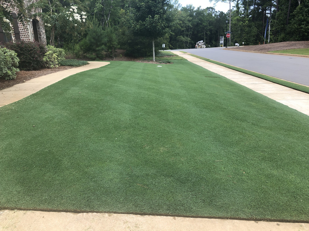 2C3A890C-7727-46FF-9B8A-C4F973C6806F