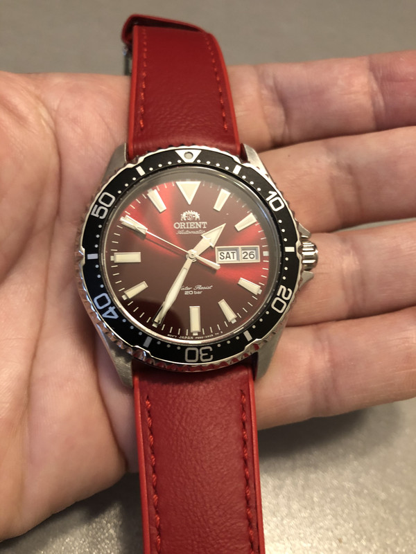 0F376897-BE32-490B-B645-29446DD9371B