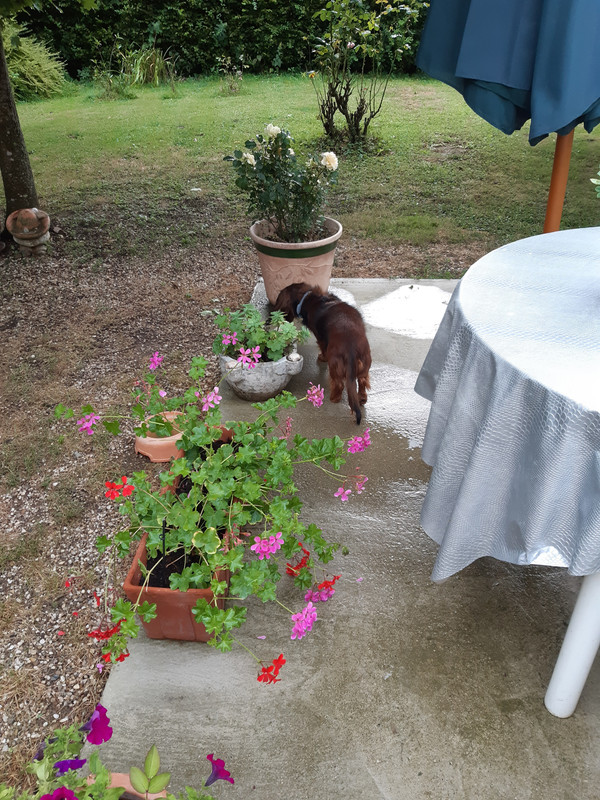 [Image: 20200715-171634.jpg]