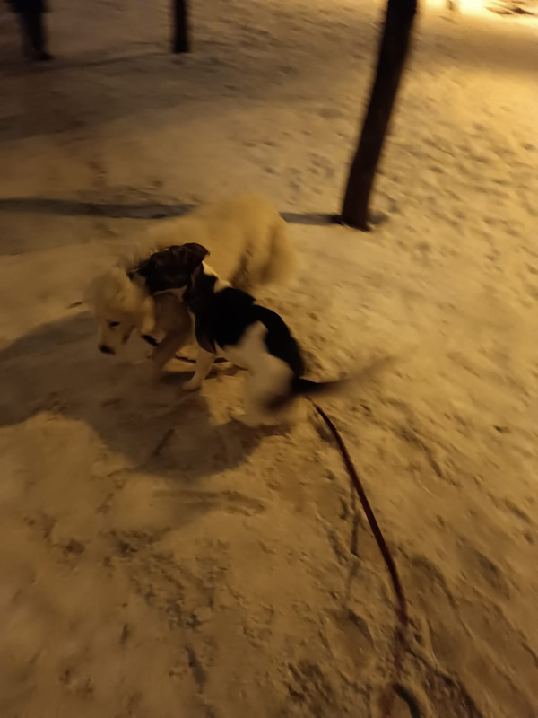 B0EEC90A-FB4C-4600-97D7-1589CA9D7861