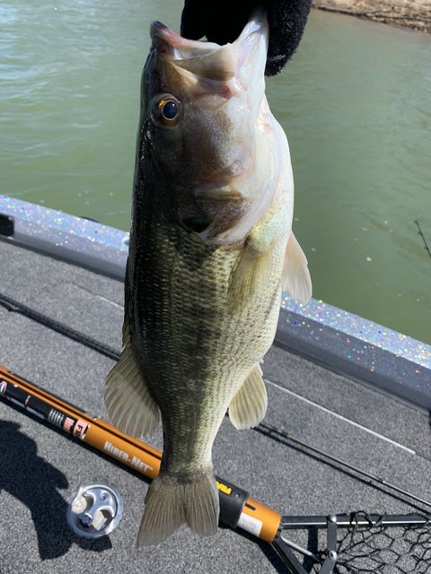 7A8679C3-35C3-4540-AA21-BCF60A270313