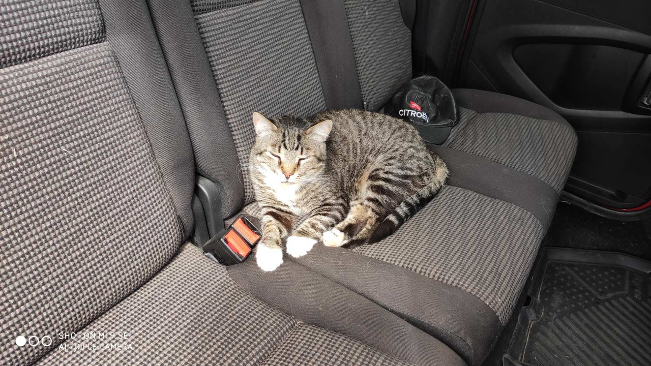 изображение_viber_2020-07-17_12-44-36