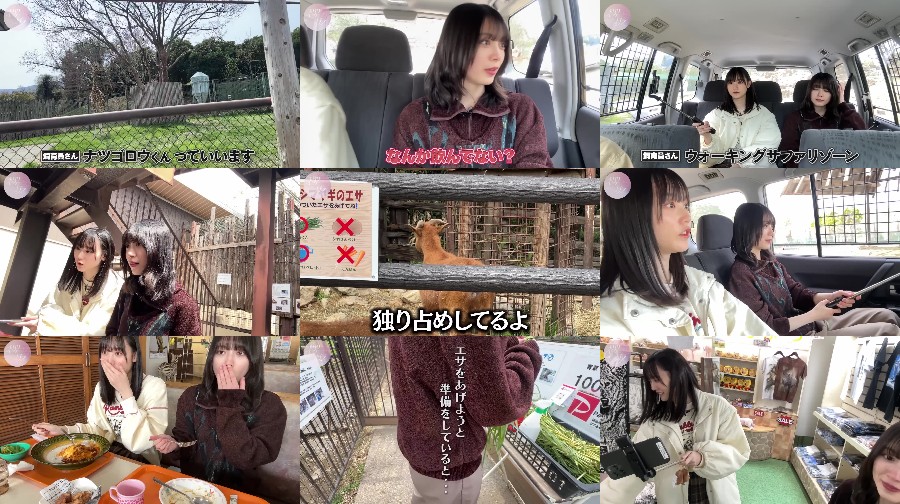 240421-Sakurazaka-You-Tube 【Webstream】240421 Sakurazaka YouTube Channel (Morita Hikaru & Masumoto Kira dating in Safari Park)
