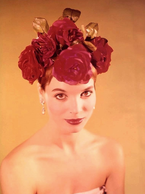 elsa_martinelli_e60
