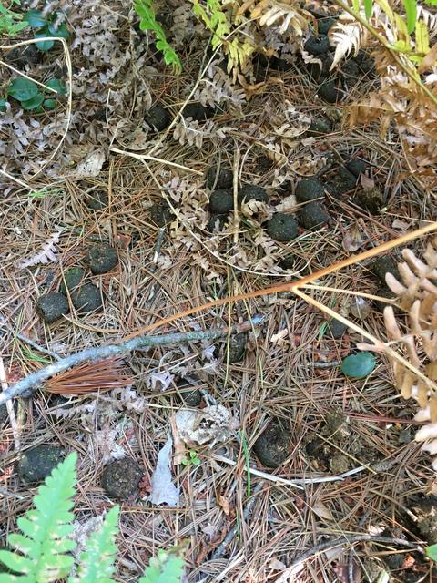 4E5B8846-8037-4788-A367-9880FF457B34