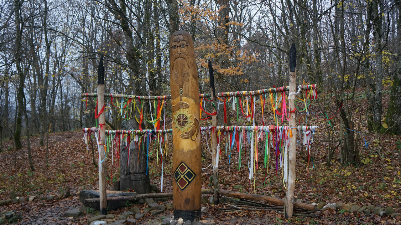 DSC09678.jpg