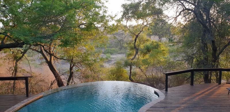 DÍA 12: SABI SAND (Elephant Plains Game Lodge) - Sudáfrica y Seychelles 2018 - Una Honeymoon llena de vida (1)