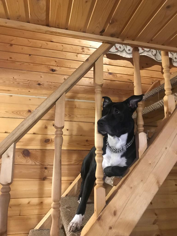 B52D0615-6C7C-400B-A411-5325BC25255B